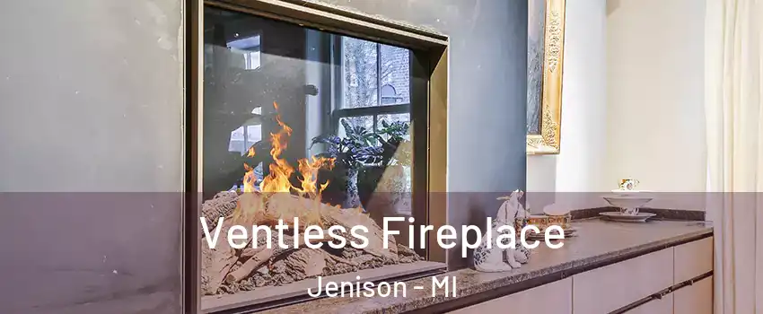  Ventless Fireplace Jenison - MI